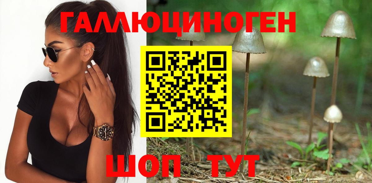 Галлюциногенные грибы GOLDEN TEACHER Кудымкар