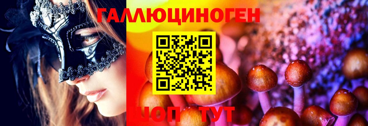 Галлюциногенные грибы прущие грибы  Вход с VPN  Кудымкар  Галлюциногенные грибы мицелий 